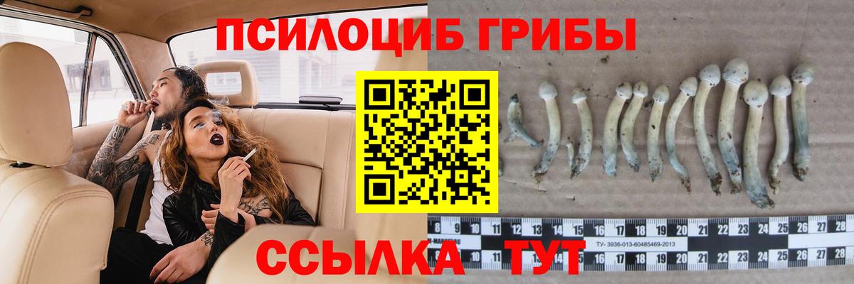 Галлюциногенные грибы Psilocybe  Псилоцибиновые грибы GOLDEN TEACHER  Великие Луки  Вход с VPN 