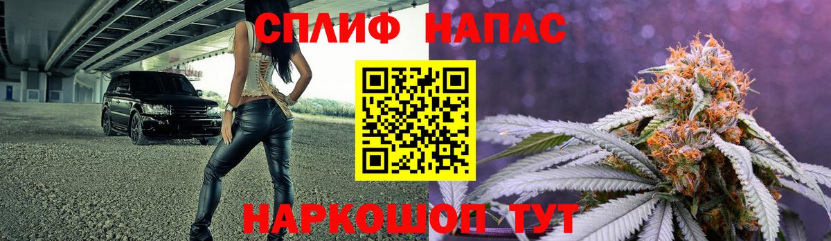 Бошки Шишки план Великие Луки